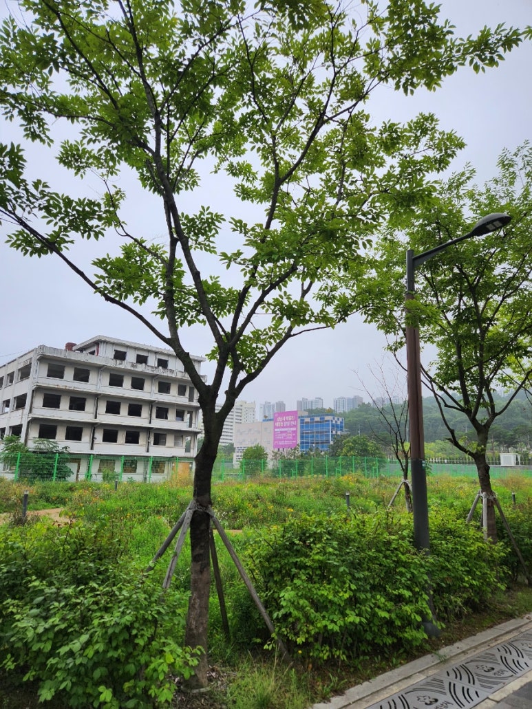 성남환경교육사회적협동조합 이미지