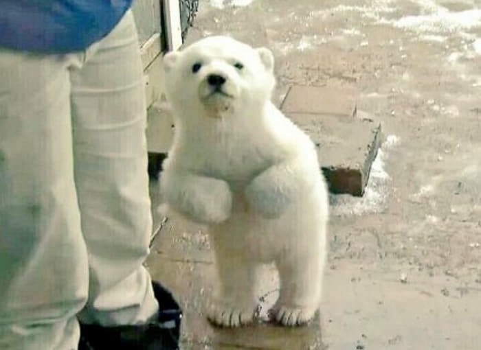 밤바람 이미지