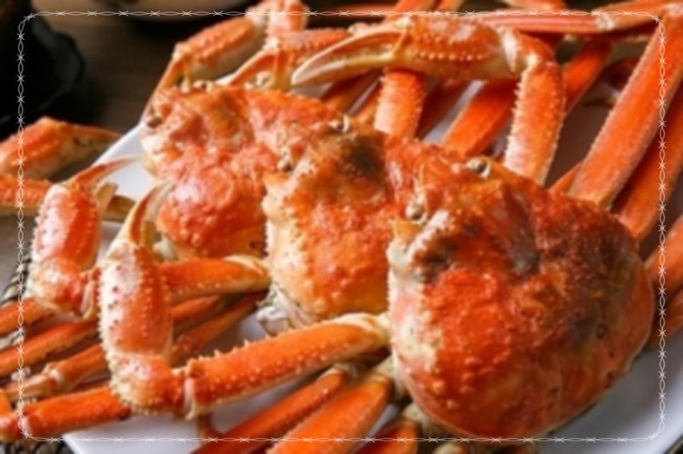 정훈수산 이미지