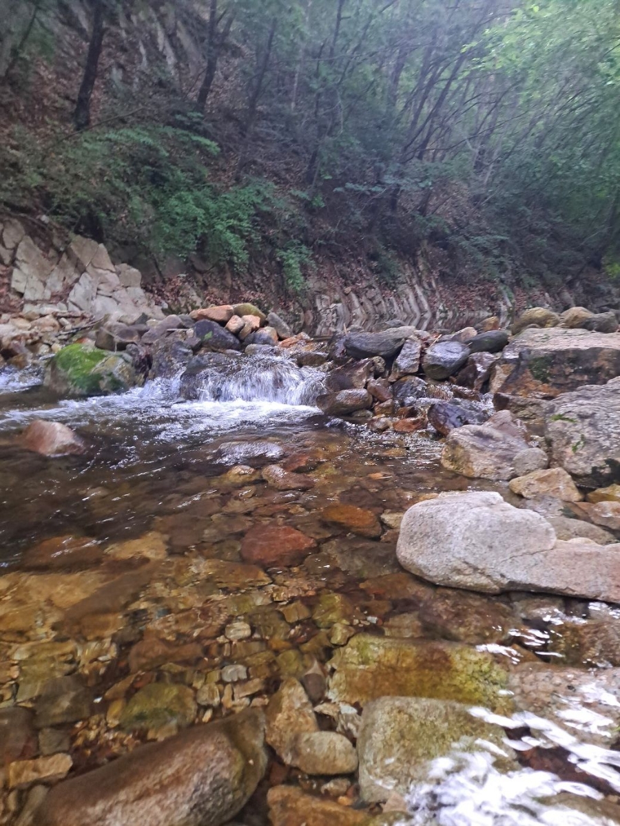 썬오브캠핑장 이미지