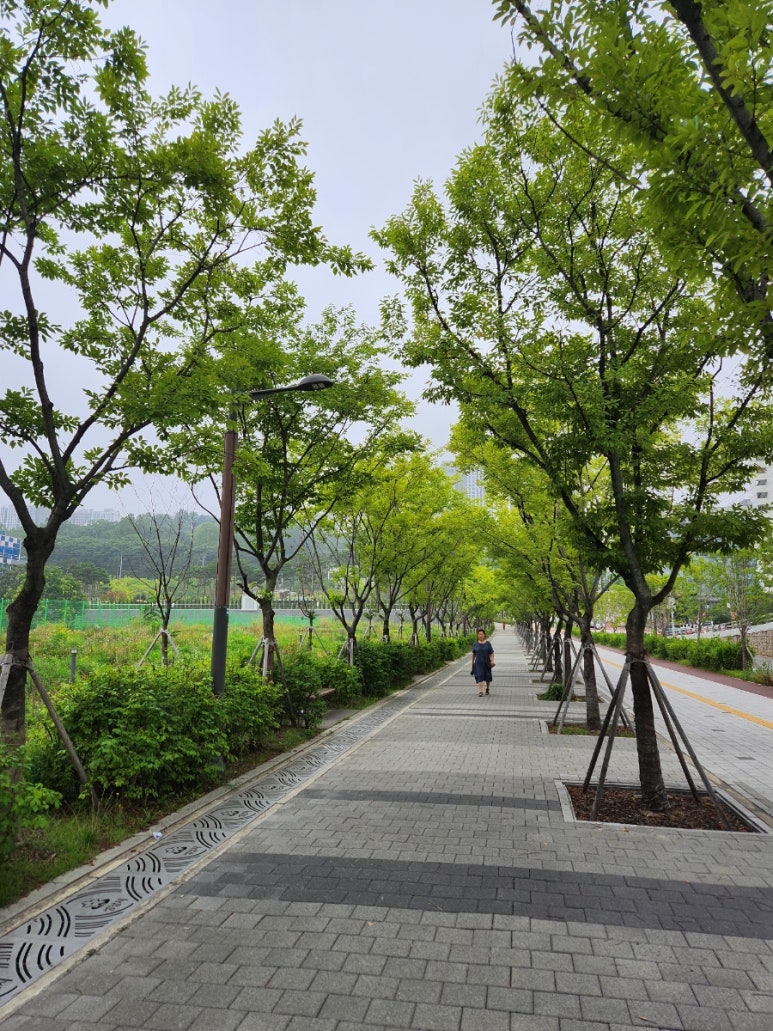 성남환경교육사회적협동조합 이미지