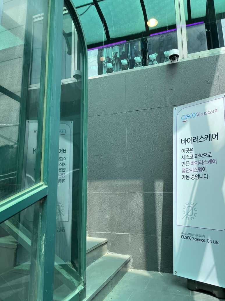 여기좋아구제 이미지