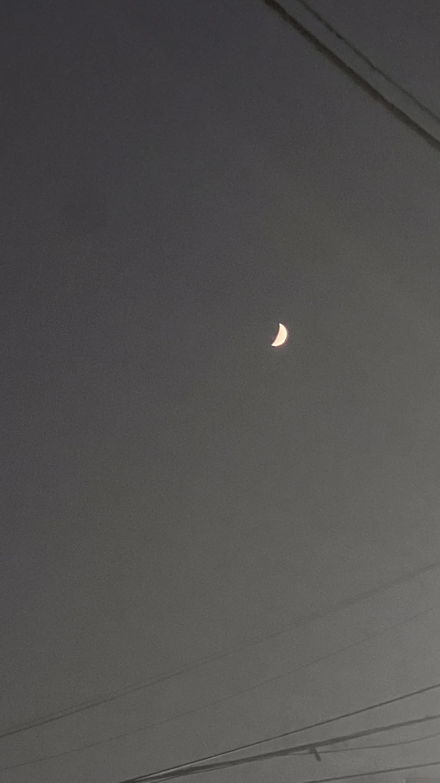다정한세상 이미지