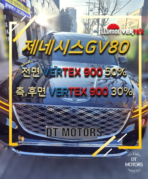 디티모터스 이미지