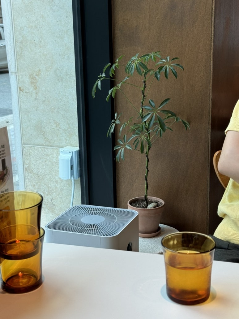 키도복대 이미지