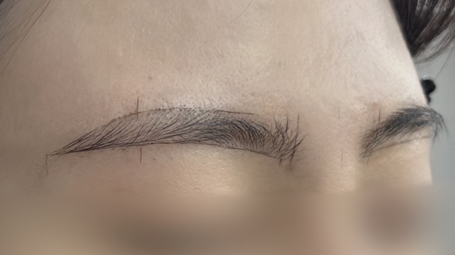 더디자인선 이미지
