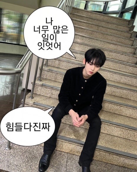 홍홍 이미지