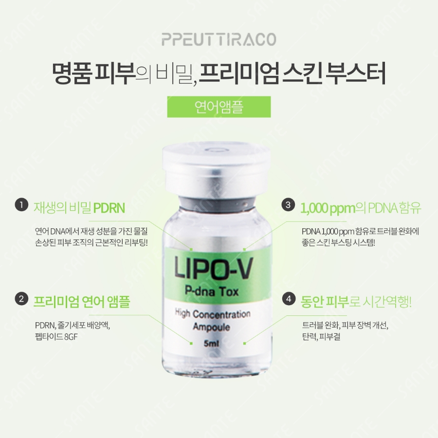 아비앙또 이미지