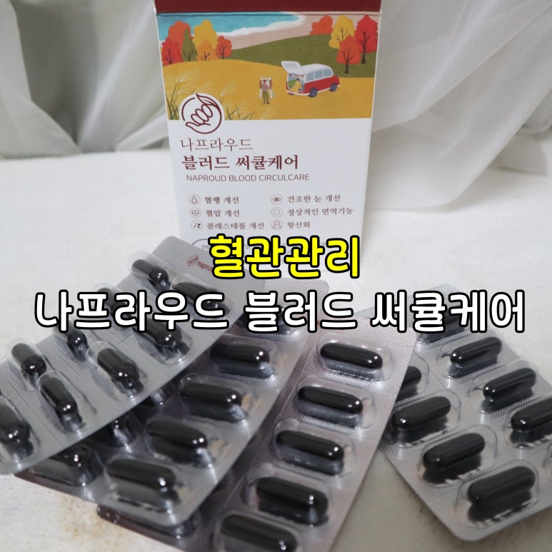나프라우드 이미지