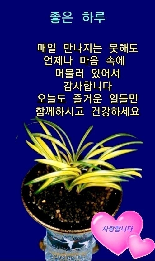 좋은하루 이미지