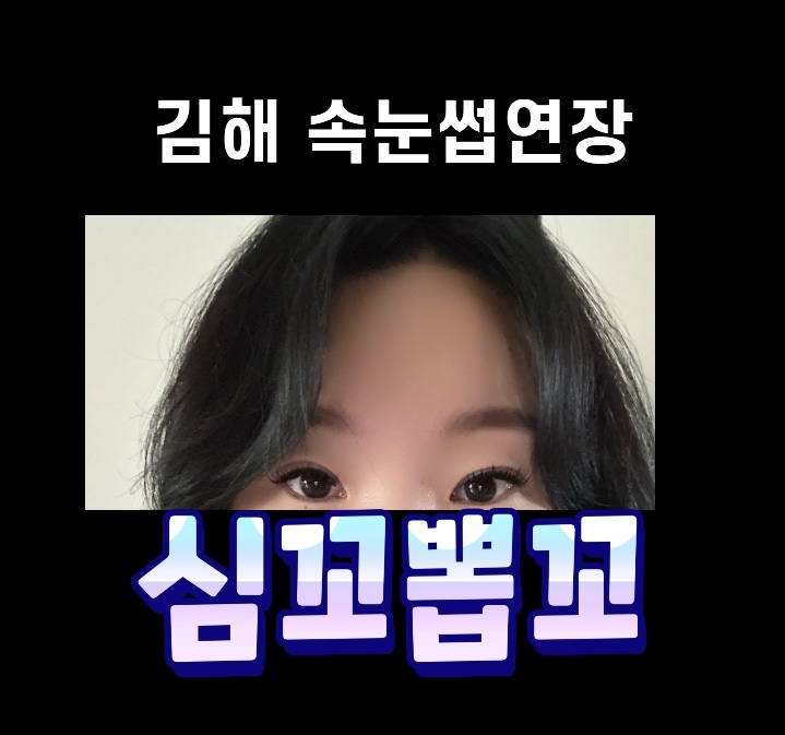 심꼬뽑꼬 이미지