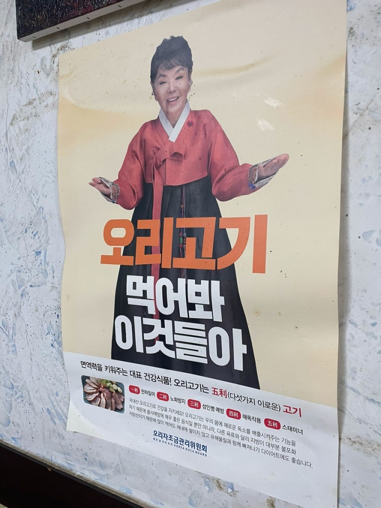 배양리오리집 이미지
