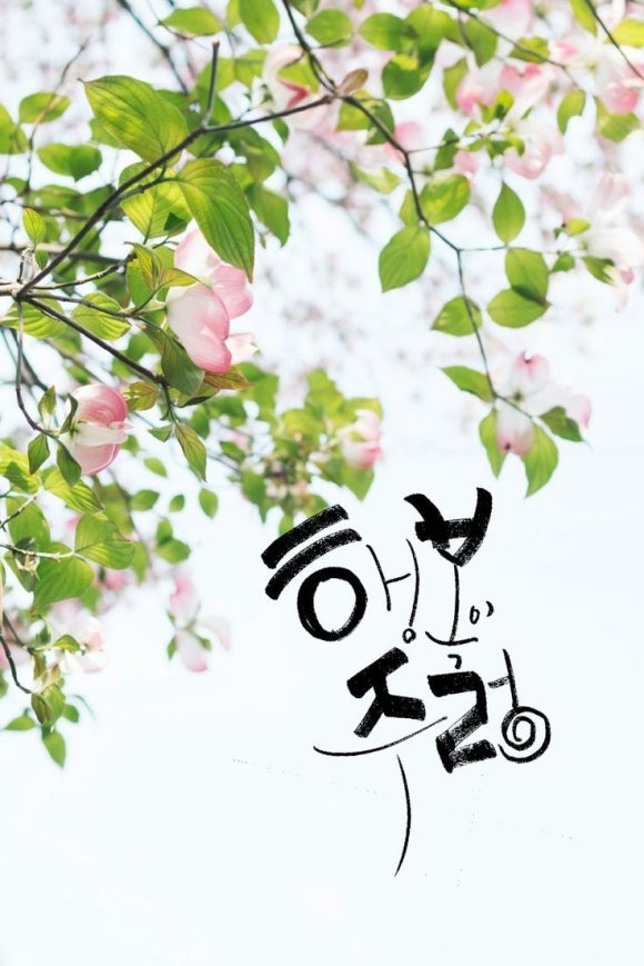마이마이마이 이미지