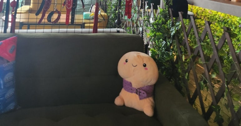 티핫 이미지