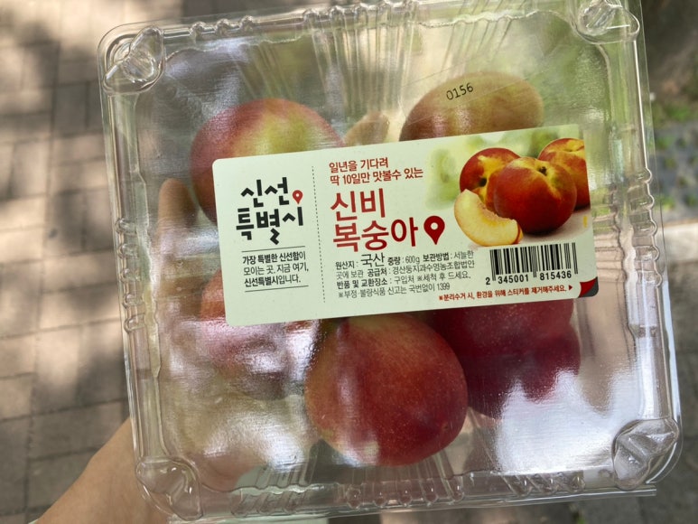 버킷위즈 이미지