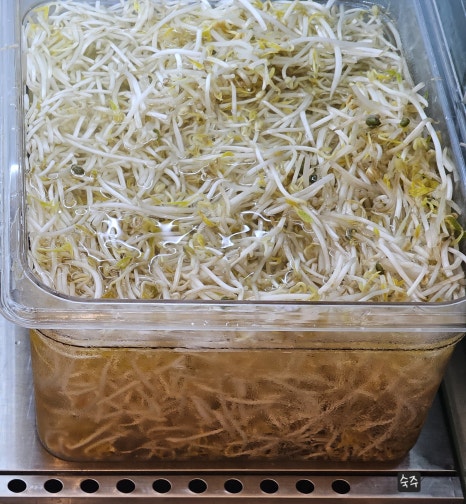 MALARO(마라로) 이미지