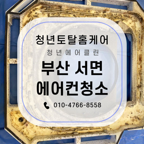 웨이부산서면 이미지
