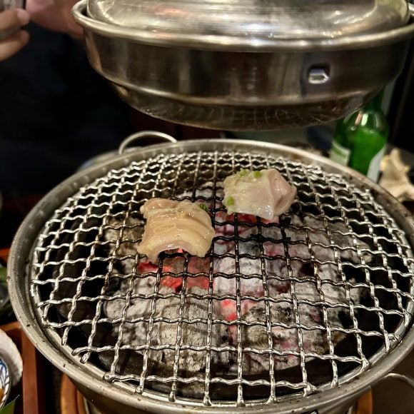 월드진 이미지