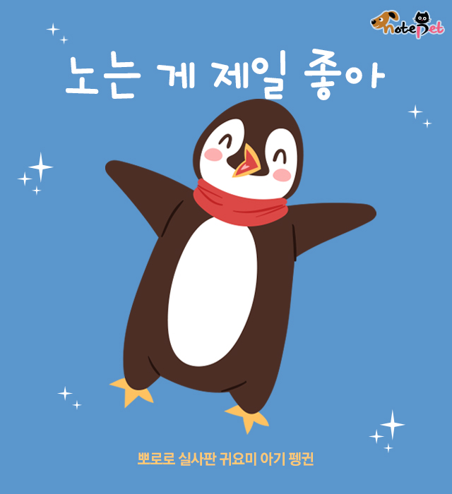 놀러와식당 이미지