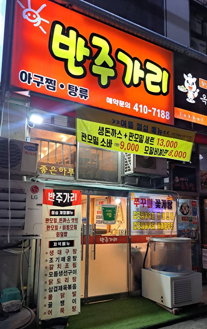 반주가리 사진 4