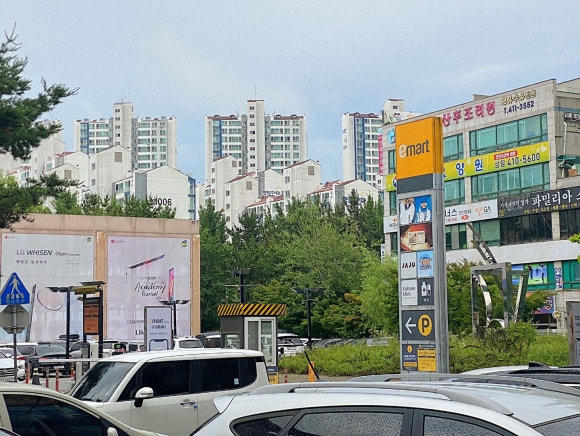 광판팔뚝김밥안산 이미지