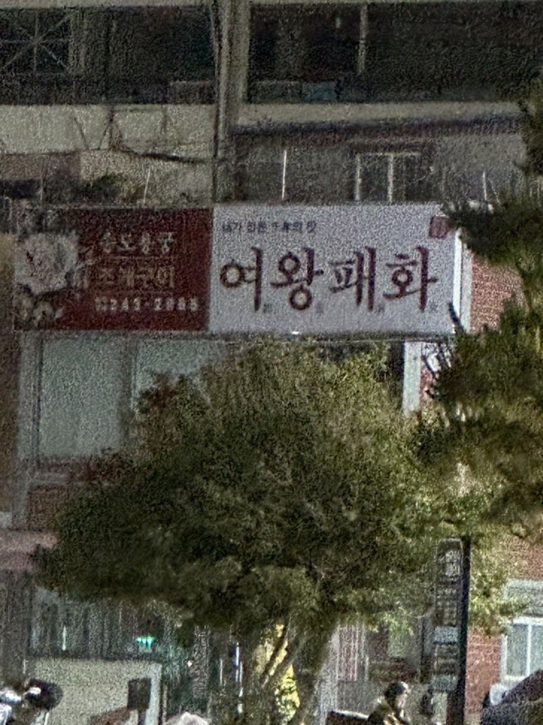 여왕패화 이미지