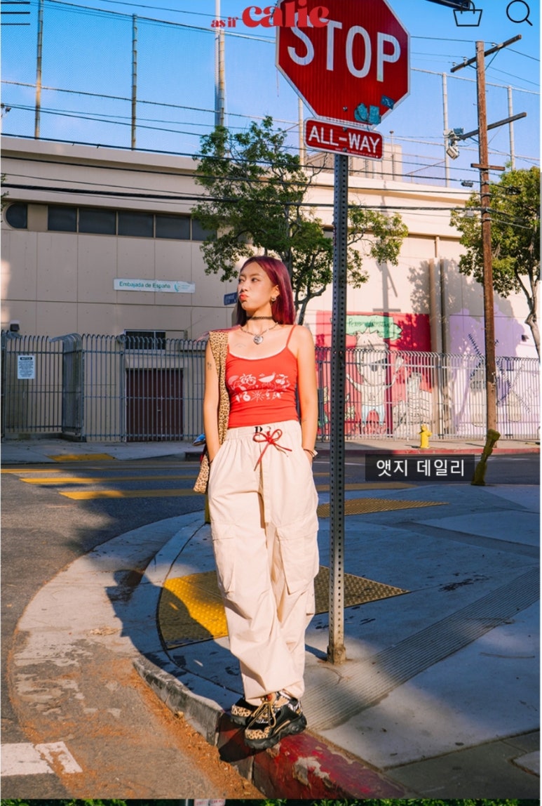 바오캘리 이미지