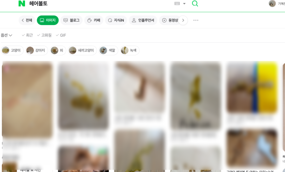토인헤어 이미지