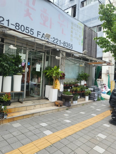 중앙꽃화원 이미지