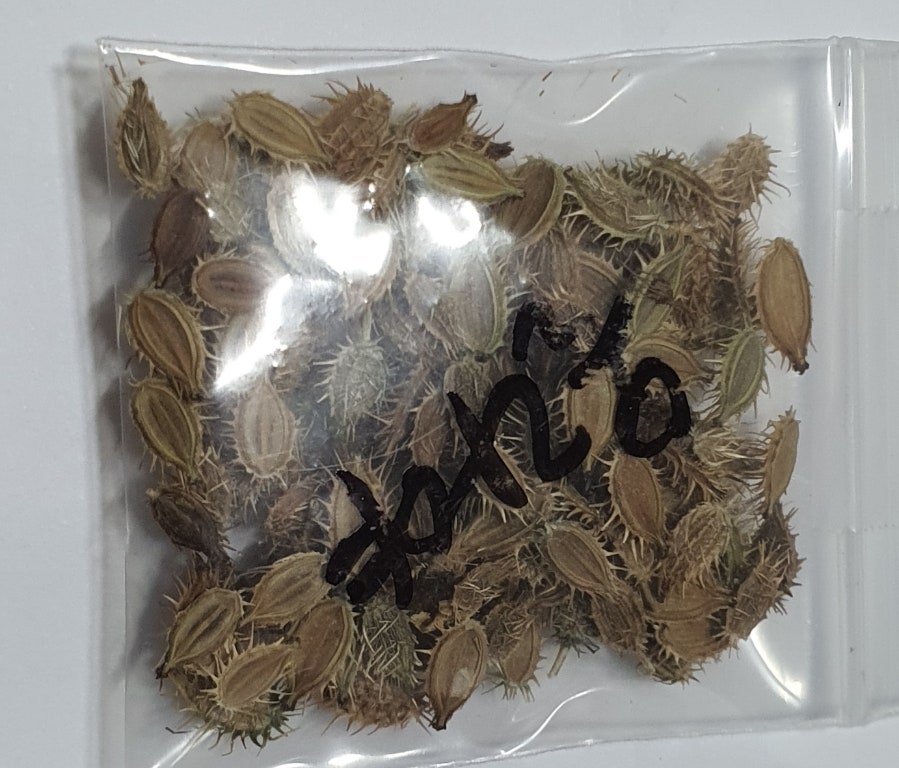 키맘 이미지