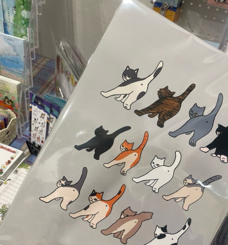 에스킴컴퍼니 이미지