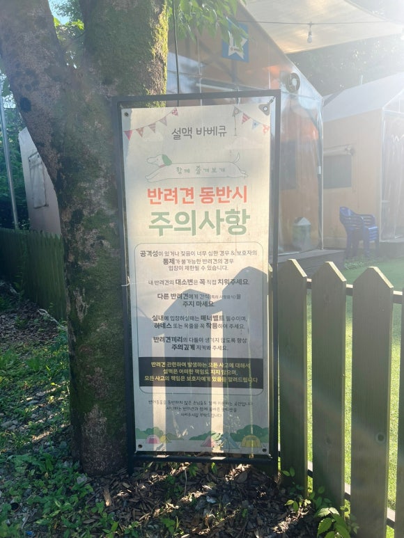 설맥 이미지