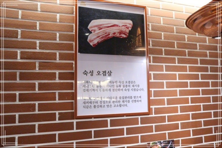 거북이동네창원 이미지