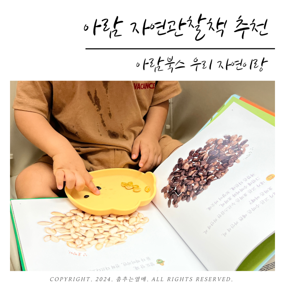 실감북스 이미지