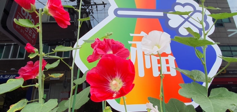 더드림반찬 이미지