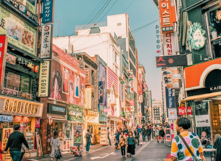 디앤디오피스알파 이미지