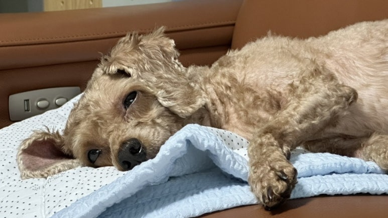 도경포차 이미지