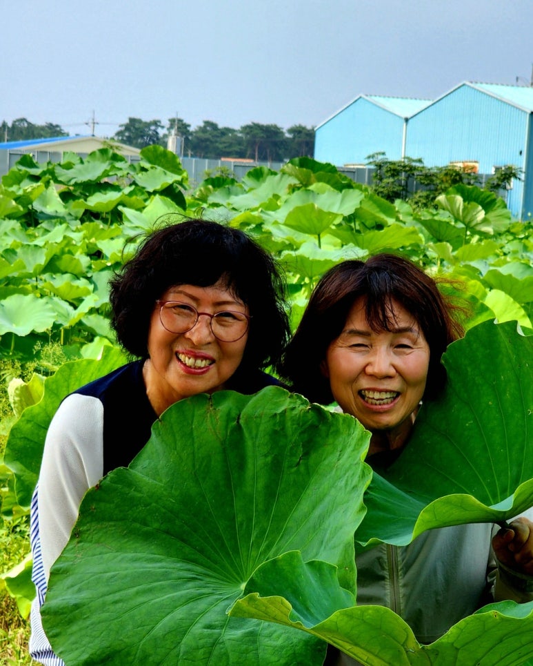 명당연향 이미지