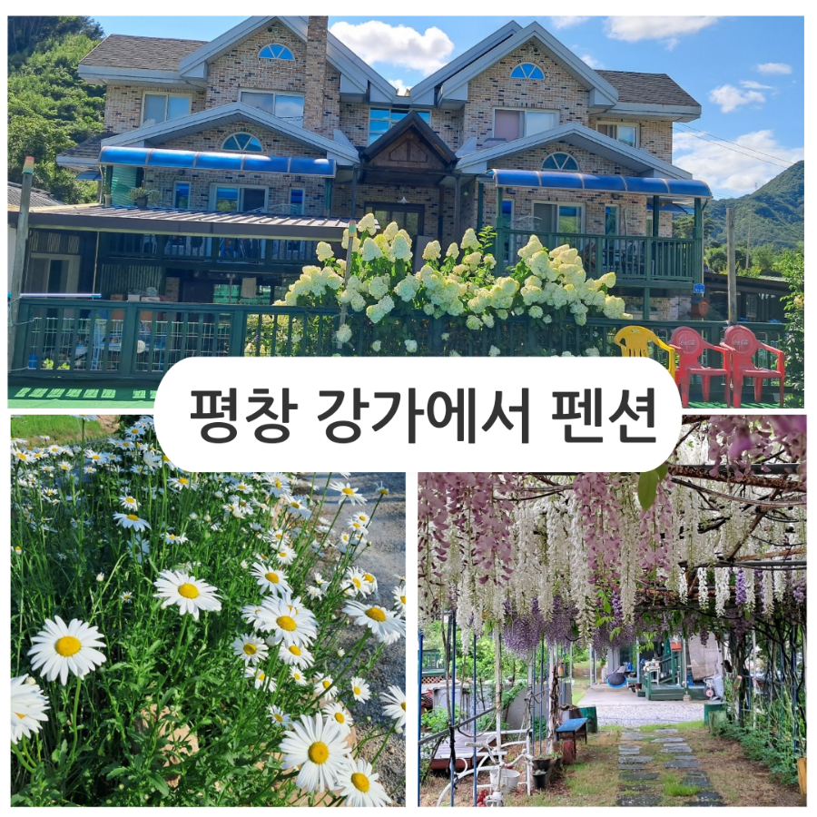 평창강가에서 이미지