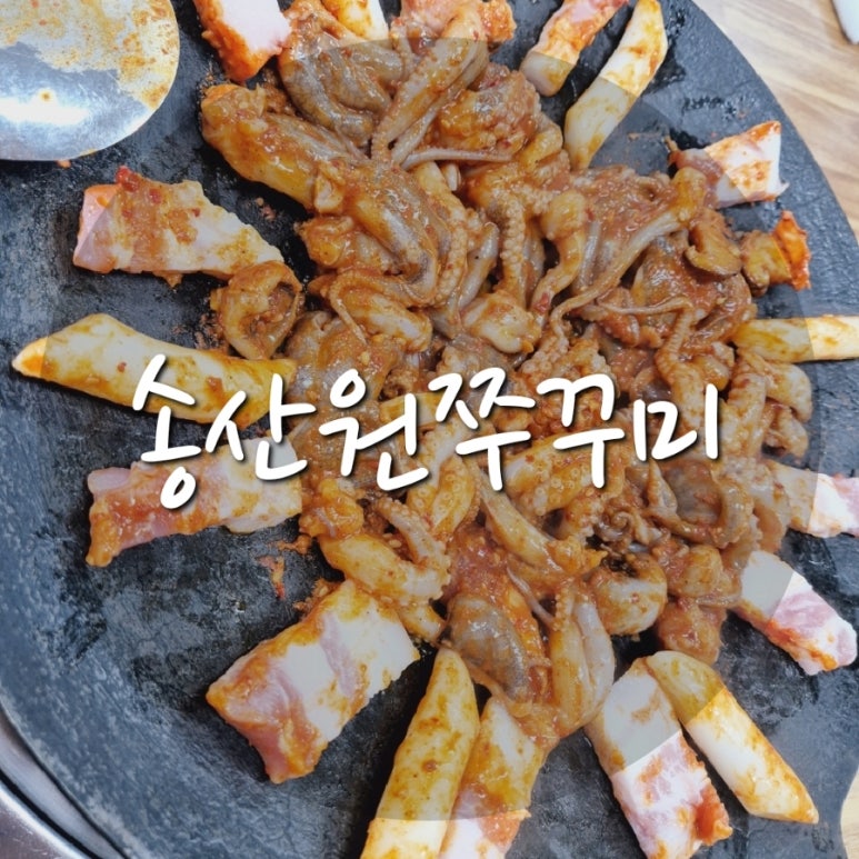 송산원쭈꾸미 이미지