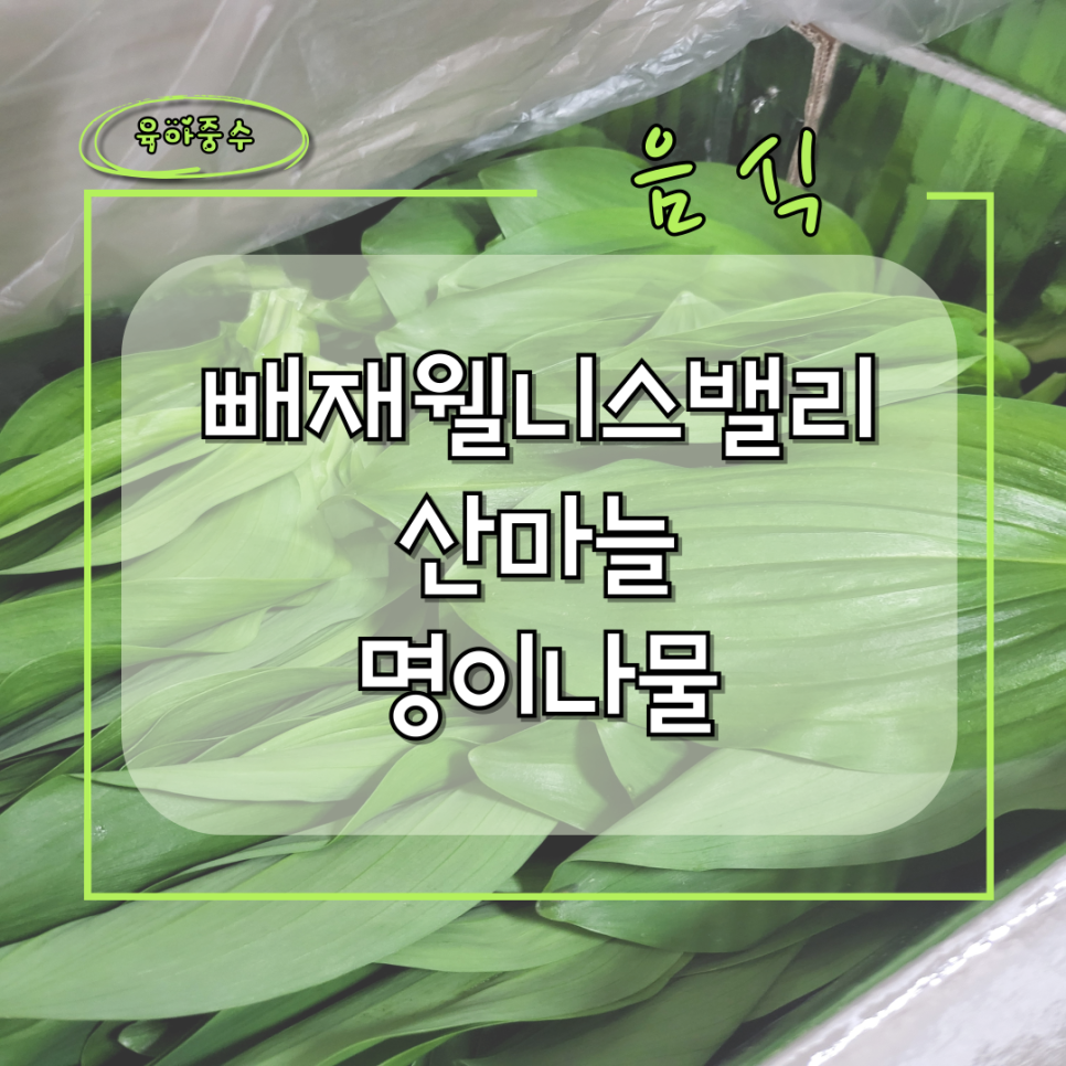 빼재웰니스밸리 이미지