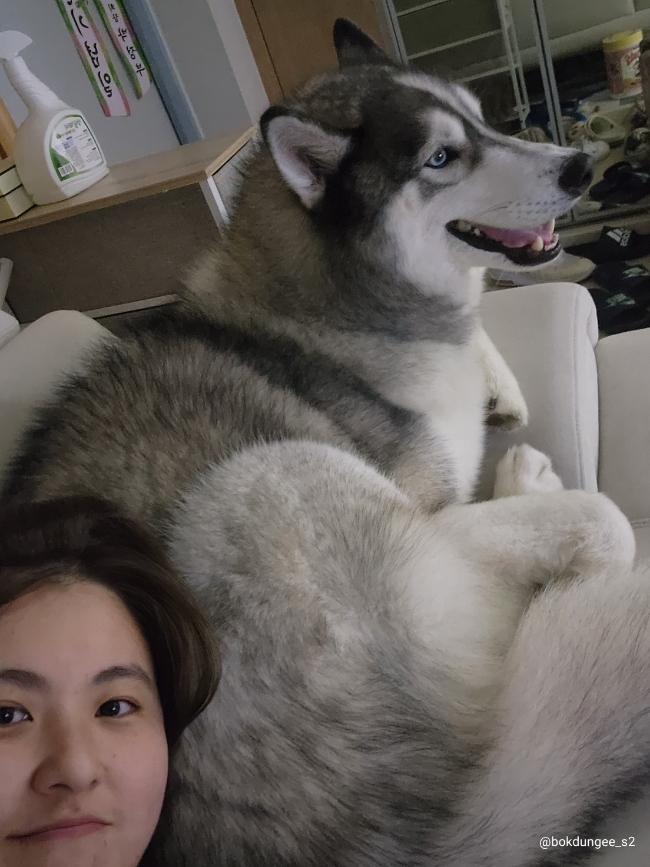 3900냥행복 이미지