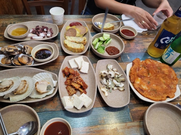 술딴지 이미지