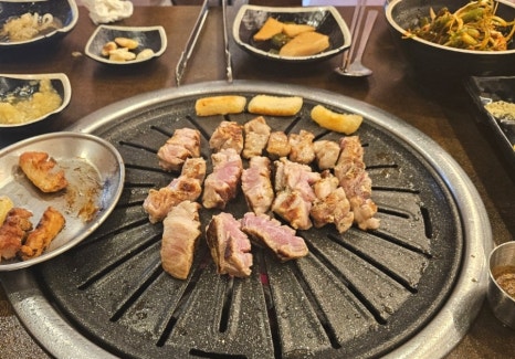 도니본가 이미지