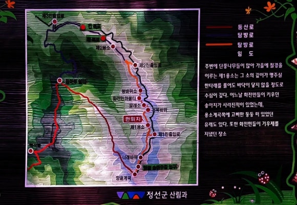 우숲 이미지