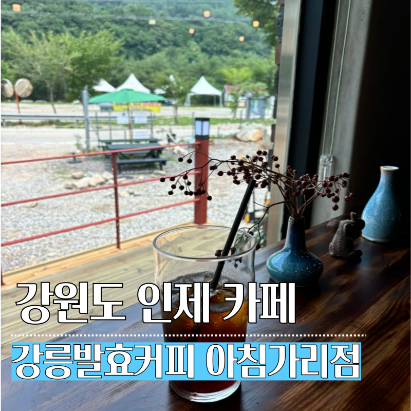 강릉발효커피 이미지