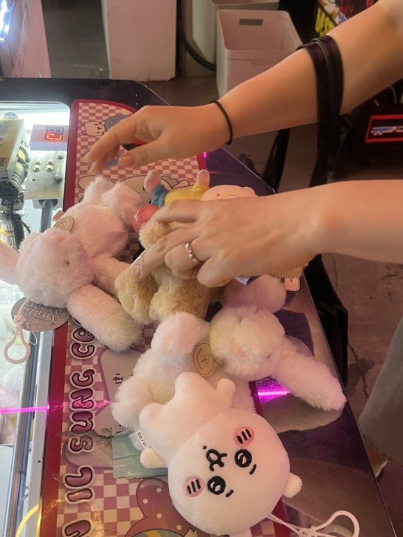 뽑짱 이미지