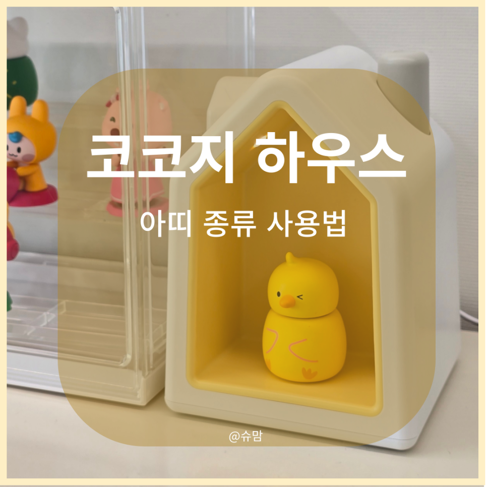 아띠슈 이미지