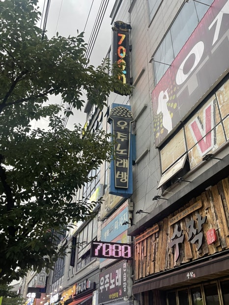 라이브죤 이미지