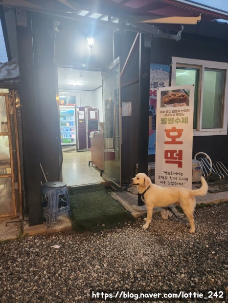 가평네잎클로버카라반글램핑 이미지